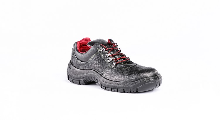 alborz safety shoes